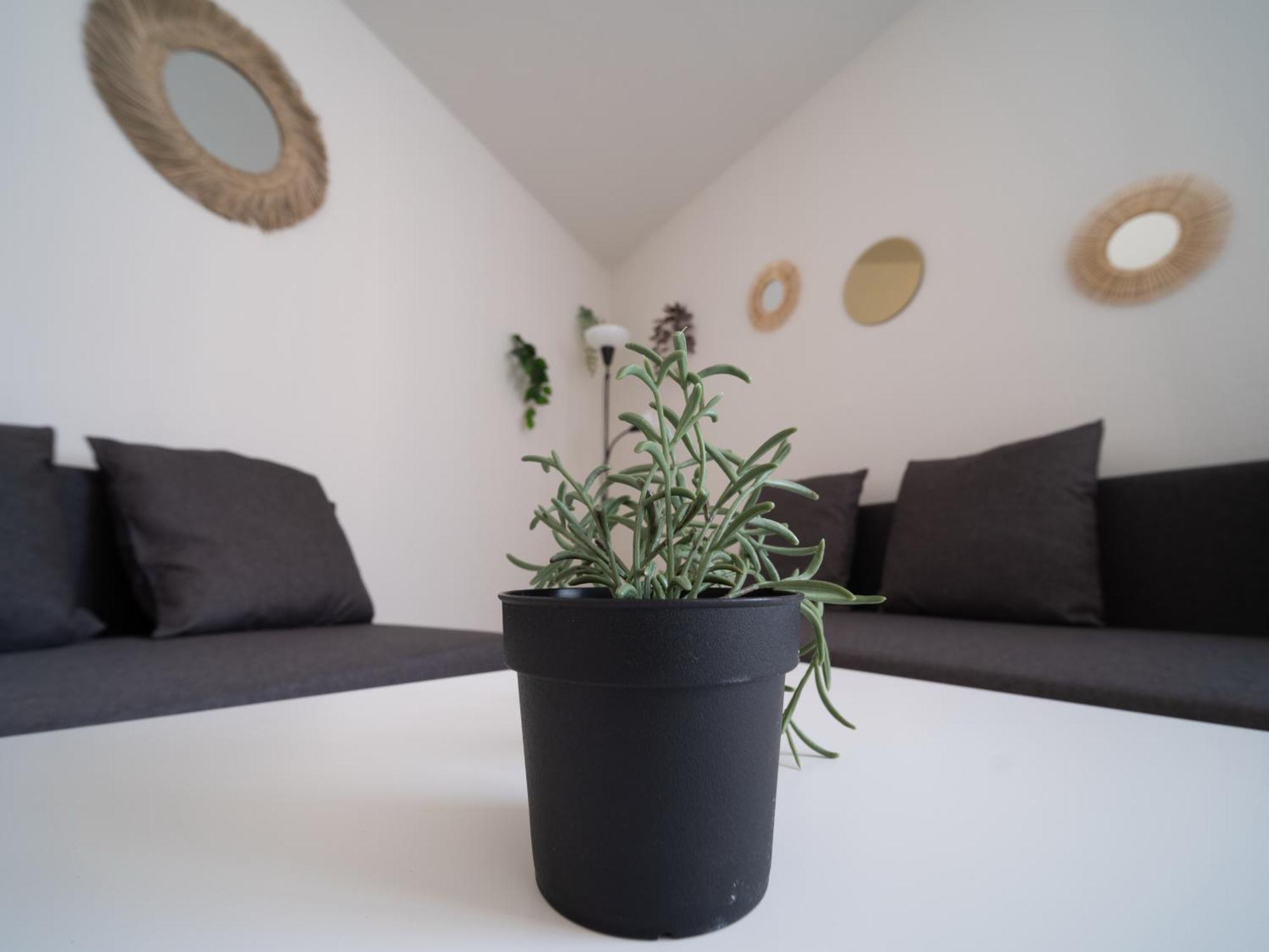 Appartement Tout Equipe A 6Min De La Gare St Charles Марсилия Екстериор снимка